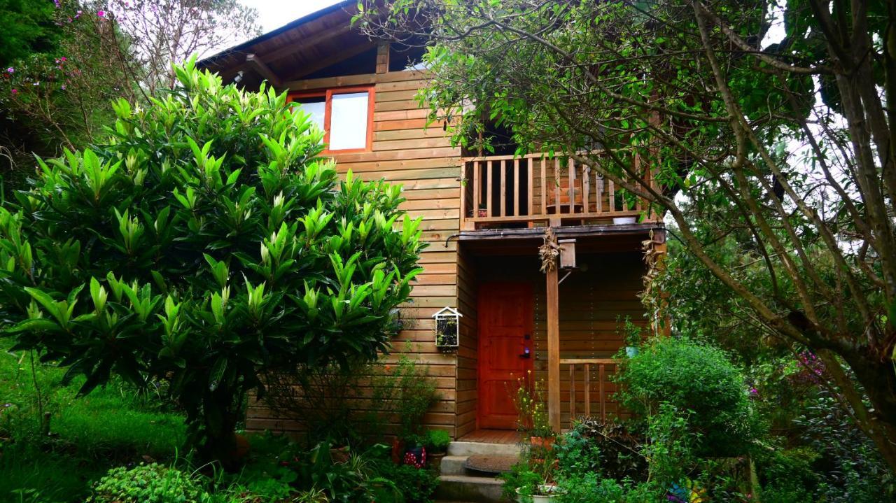 Beehouse Arvi Cabana Guarne Exterior foto