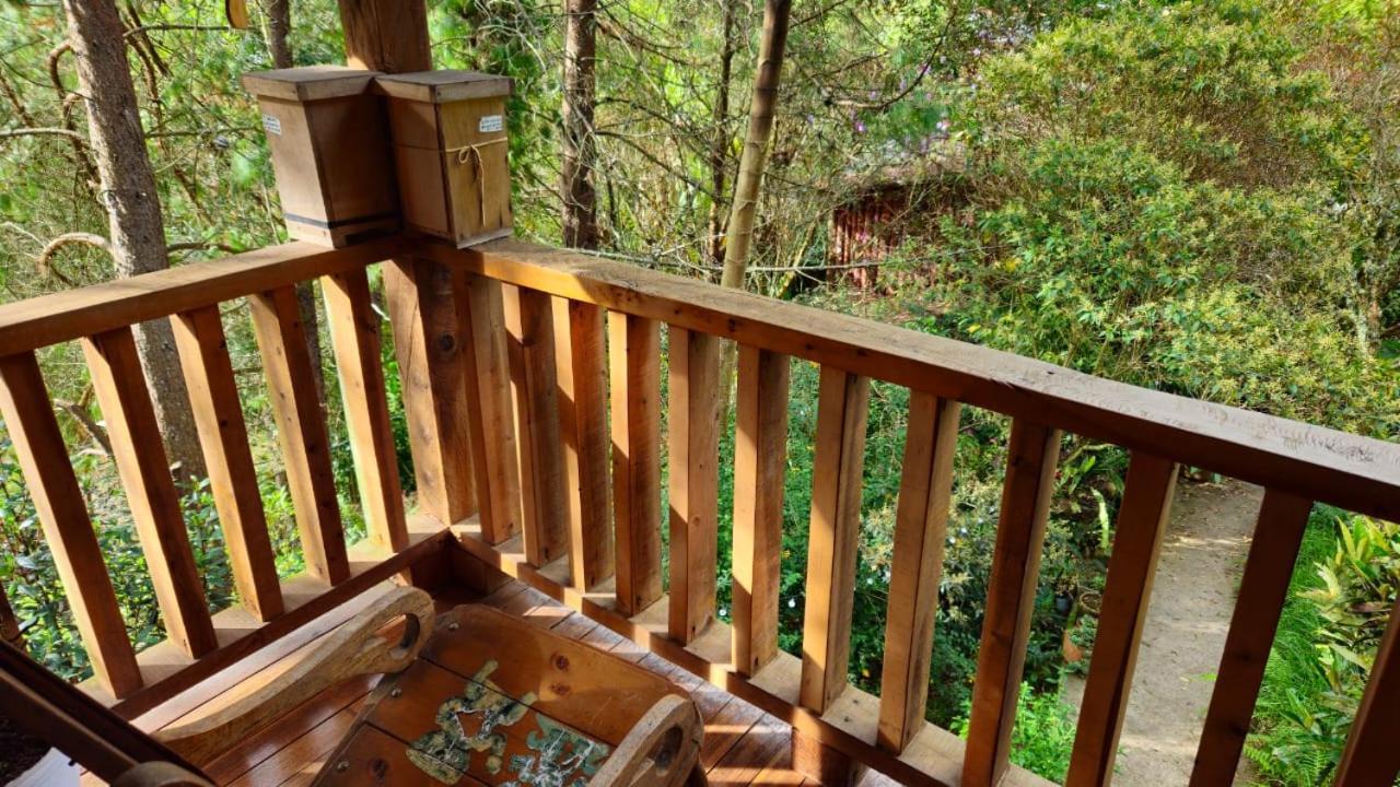 Beehouse Arvi Cabana Guarne Exterior foto