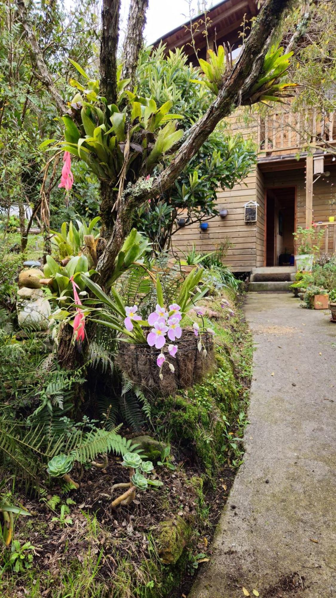 Beehouse Arvi Cabana Guarne Exterior foto